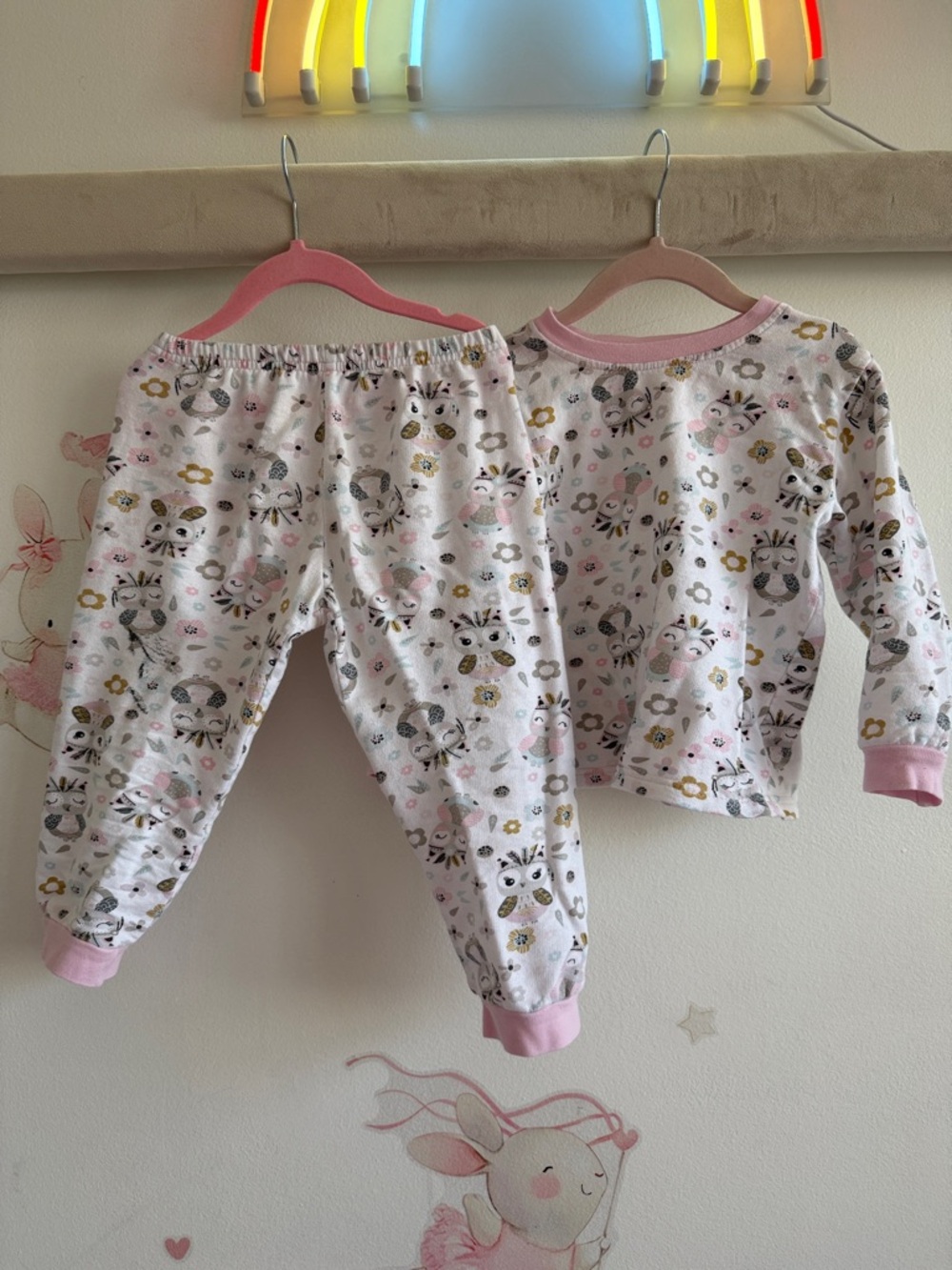 Girls Pink Raccoon & Floral Pajama Set - Long Sleeve Top & Pants